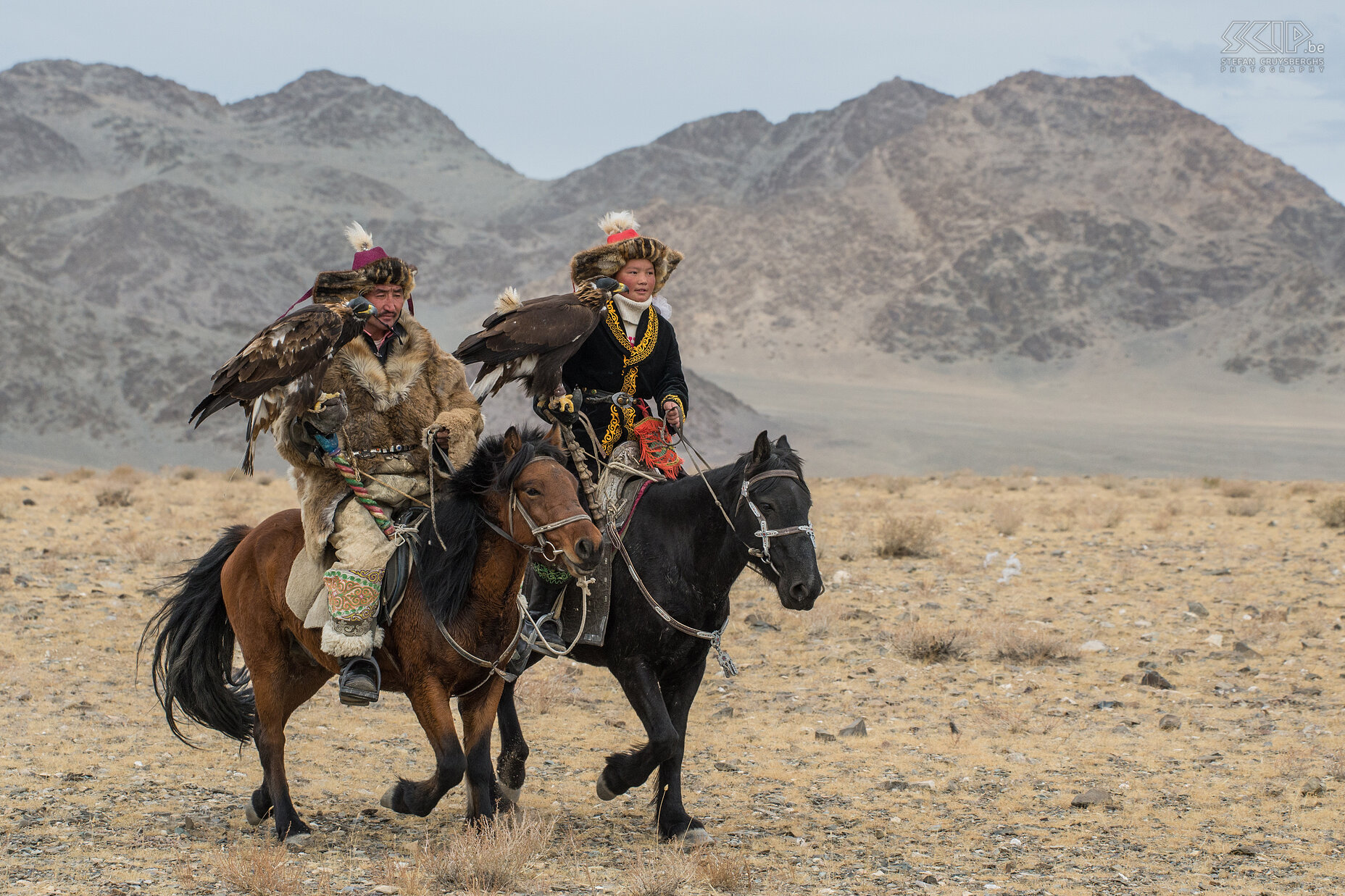 Ulgii - Golden Eagle Festival - Ashol-Pan en haar vader De Kazakse traditie van het jagen met arenden was altijd een door mannen gedomineerde traditie. Maar tegenwoordig leren sommige vaders hun jonge dochters de kunst en kunde van deze oude traditie. Dit jaar waren er 2 jonge meisjes aanwezig op het Golden Eagle Festival. Het is prachtig om te zien dat jonge mensen nog steeds hun culturele erfgoed omarmen. Hier zie je Ashol-Pan, een meisje van 13 jaar, samen met haar vader Nurgaiv toekomen op het Golden Eagle Festival. Tijdens dit festival werd een groot deel van de film 'The Eagle Huntress' opgenomen door regisseur Otto Bell. Deze documentaire film werd uitgebracht in 2016 en vertelt het verhaal van Ashol-Pan.  Stefan Cruysberghs